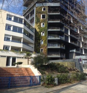 Chantier-entretien-mur-végétalisé-Rennes-3-283x300